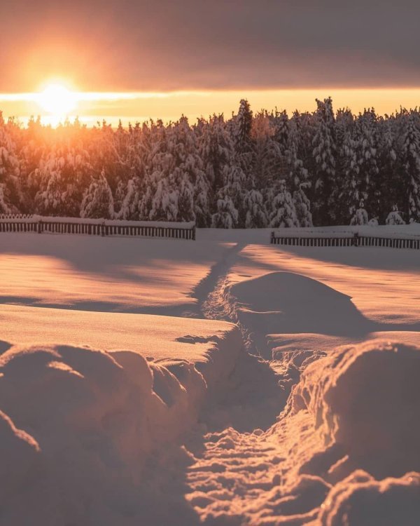 Эстетика зима