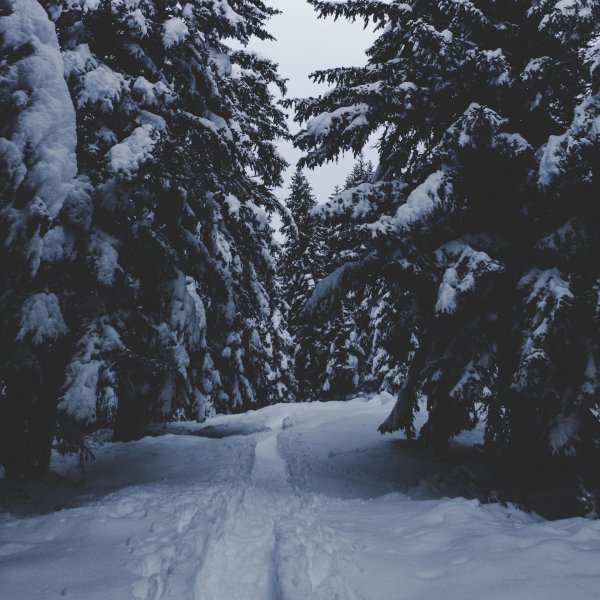 Эстетика зима