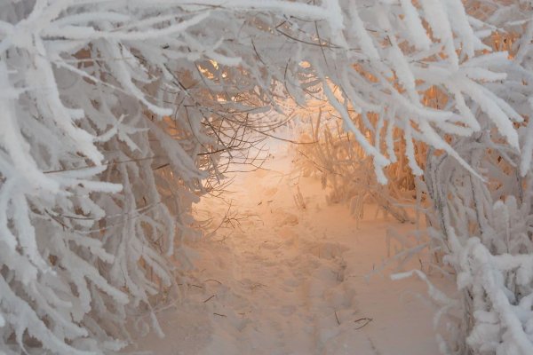 Эстетика зима