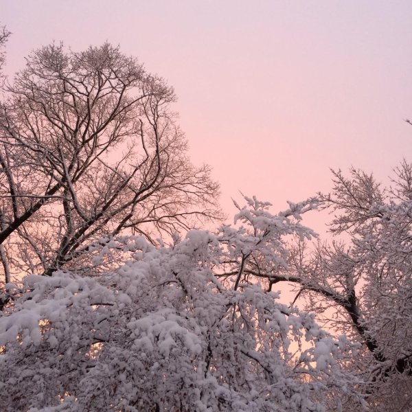 Эстетика зима