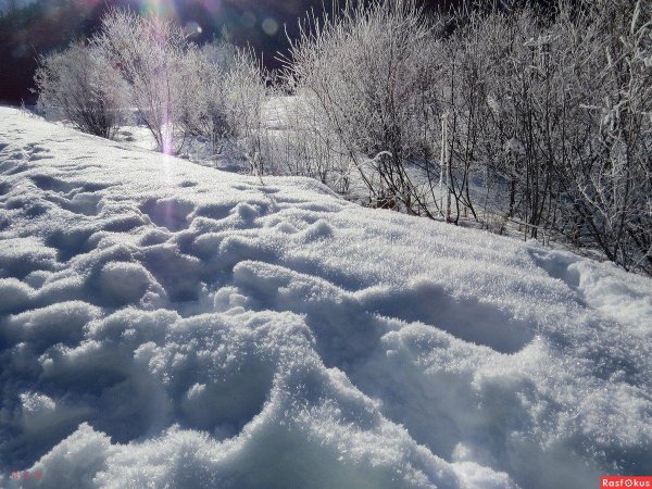 Зима пушистая