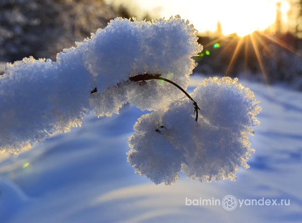 Зима пушистая