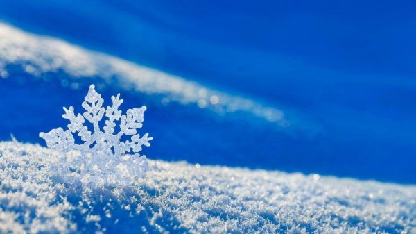 Зима пушистая