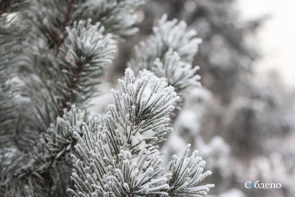 Зима пушистая