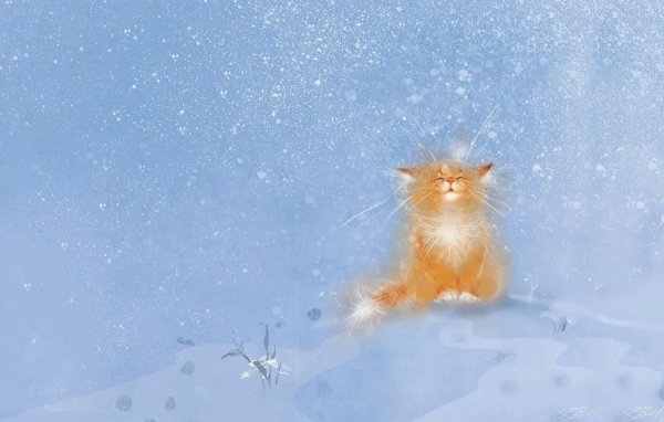 Зима пушистая