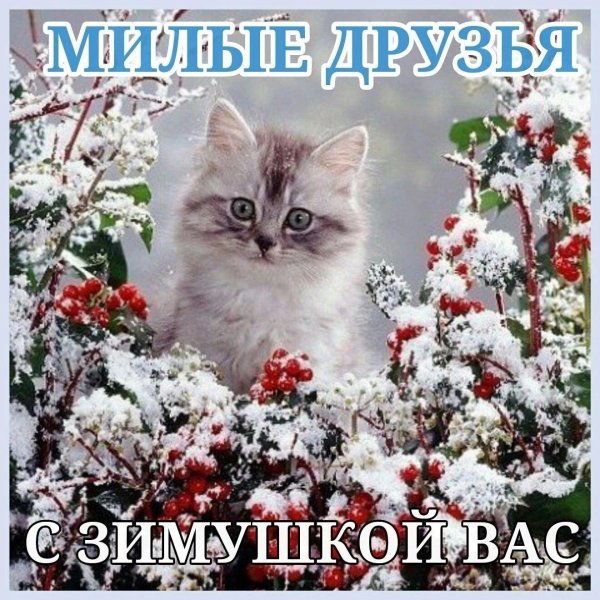 Зима пушистая