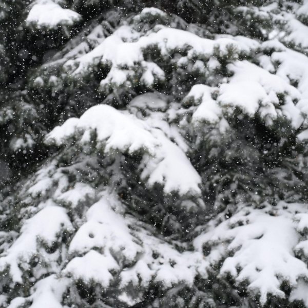 Грустные зима