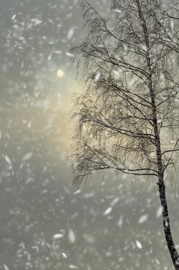 Грустные зима