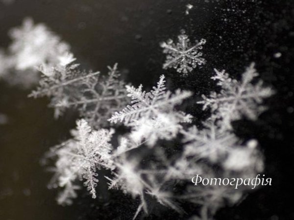 Грустные зима