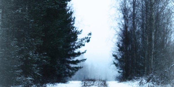 Грустные зима