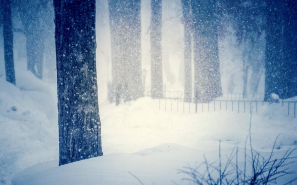 Грустные зима