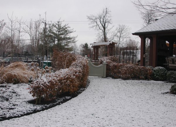 Зима на даче