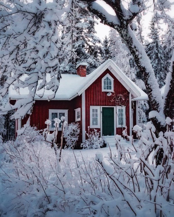 Зима на даче