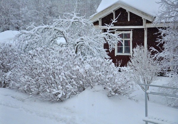 Зима на даче
