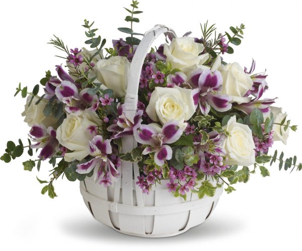 орхидея дендробиум букет