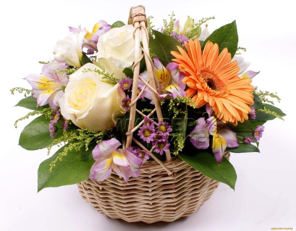 цветы корзина