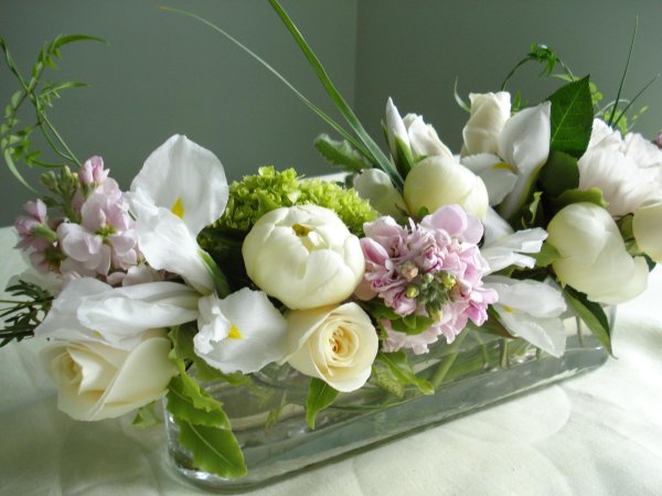 фрезия и эустома