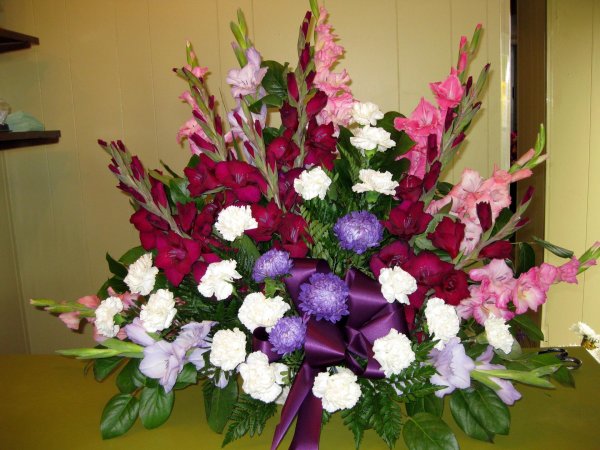 гладиолус астра хризантема