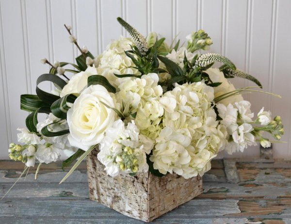 гортензия диантус рускус