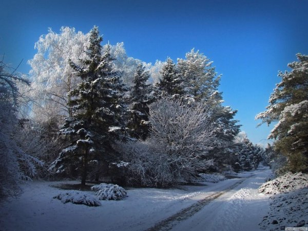 Зима и лето