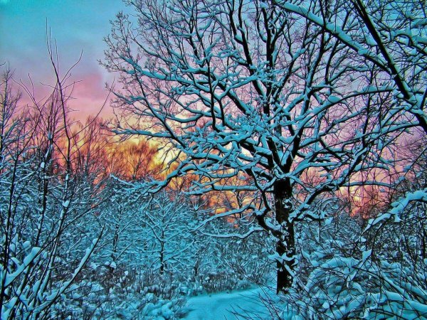 Зима и лето