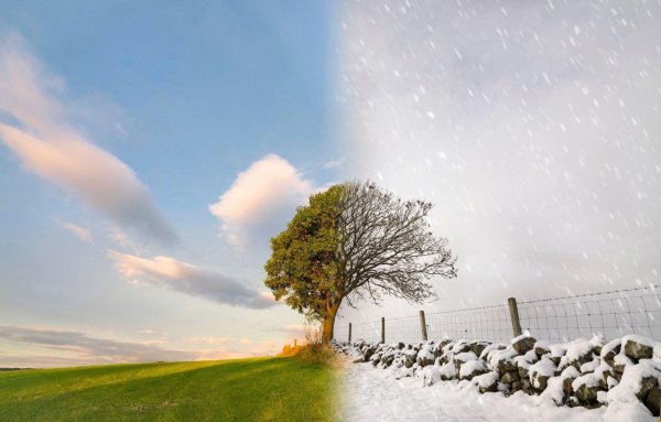 Зима и лето