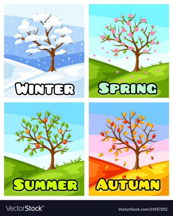 Зима и лето