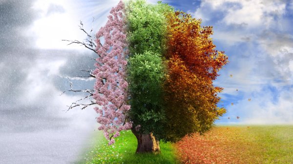 Зима и лето