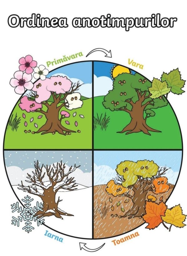 Зима и лето