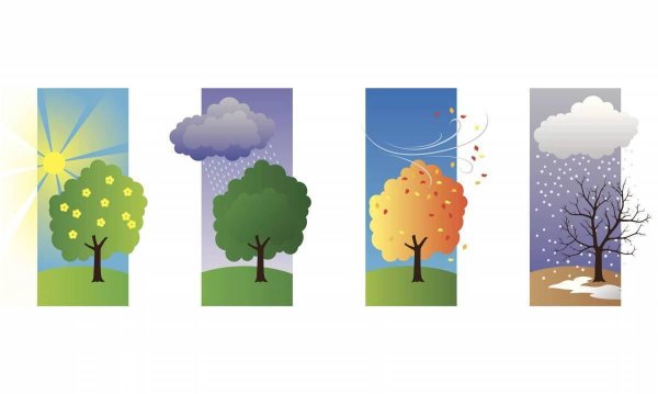 Зима и лето