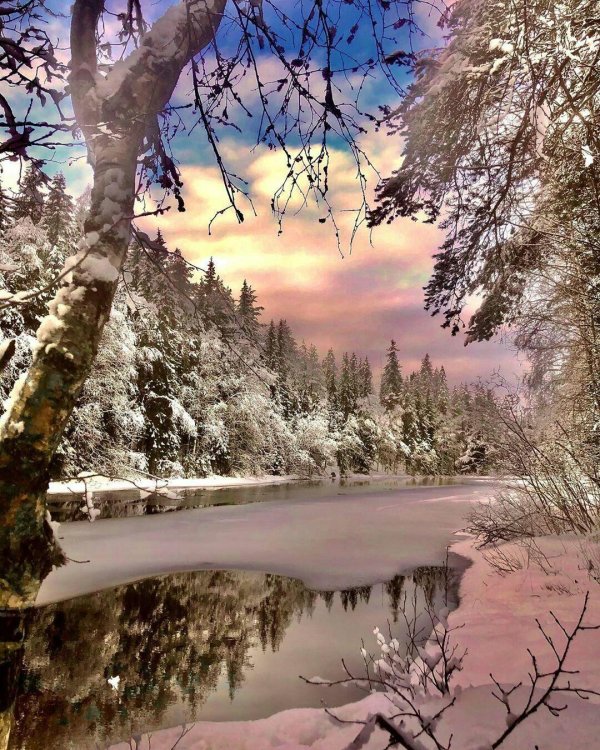 Зима и лето