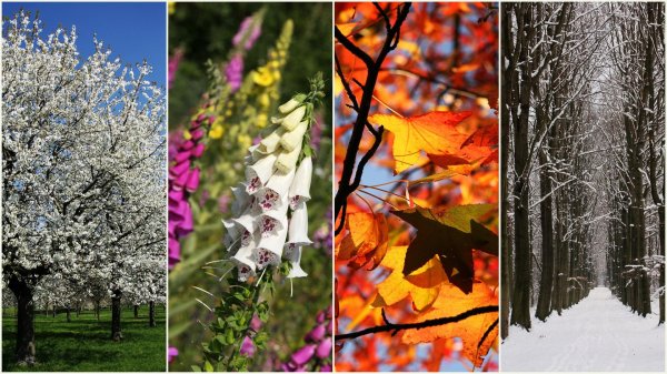 Зима и лето