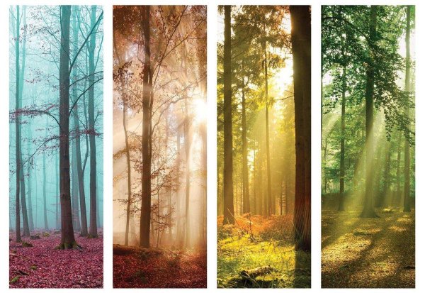 Зима и лето