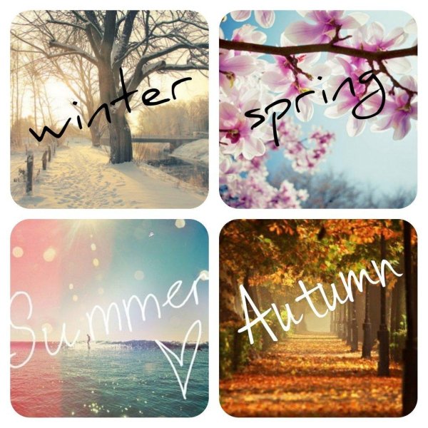 Зима и лето