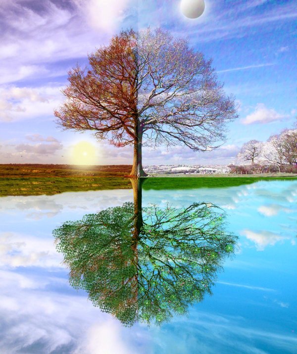 Зима и лето