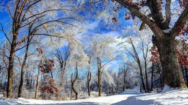 Зима и лето