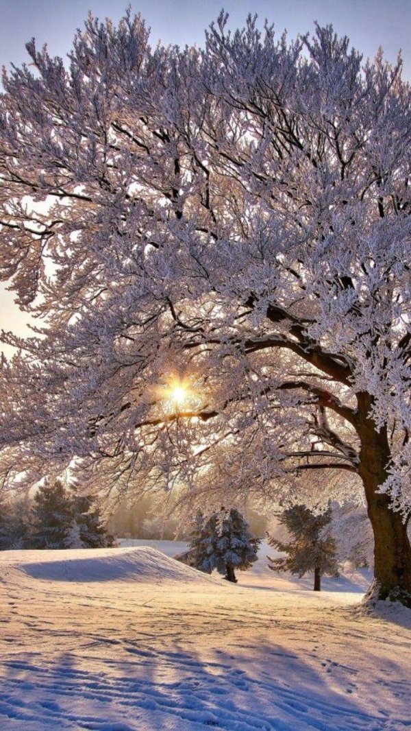 Зима и лето