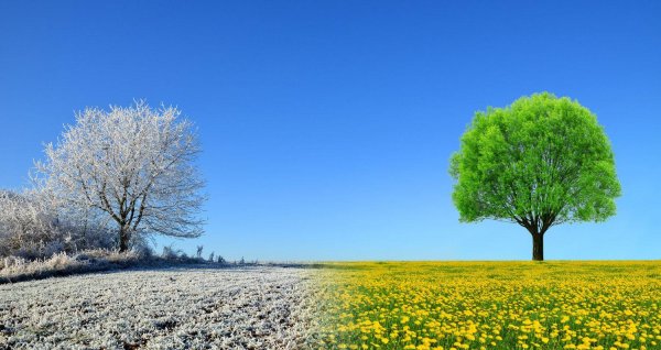 Зима и лето