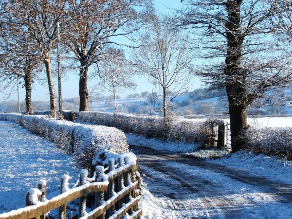 Зима и лето