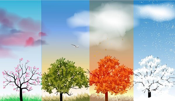 Зима и лето