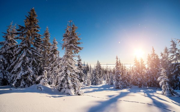 Зима и лето