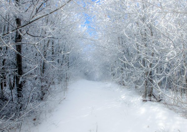 Зима и лето