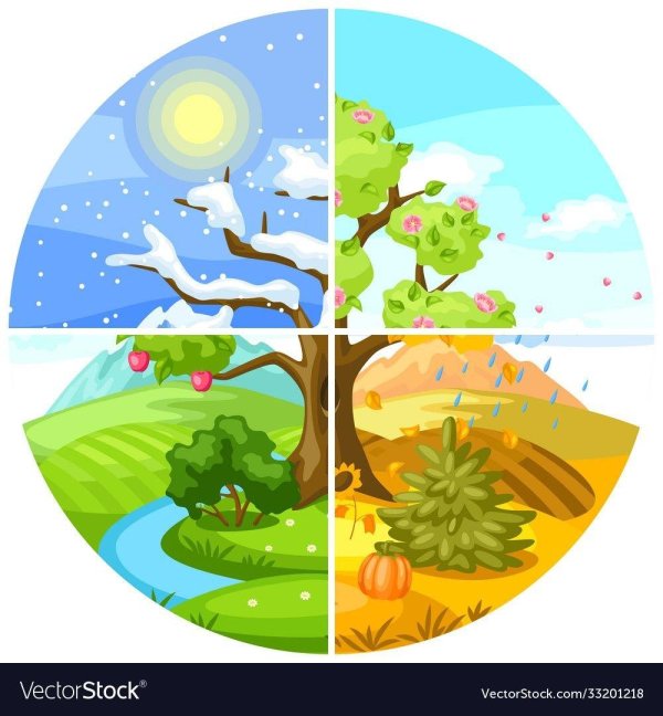 Зима и лето