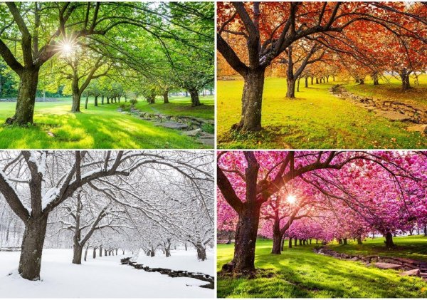 Зима и лето