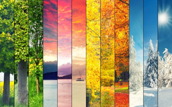 Зима и лето