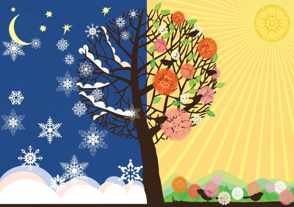 Зима и лето