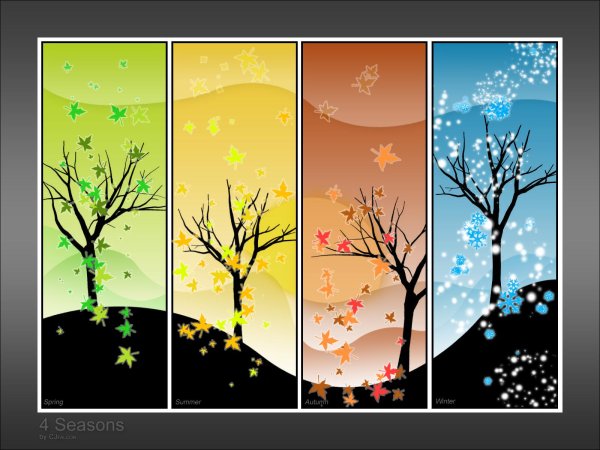 Зима и лето