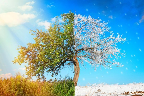 Зима и лето