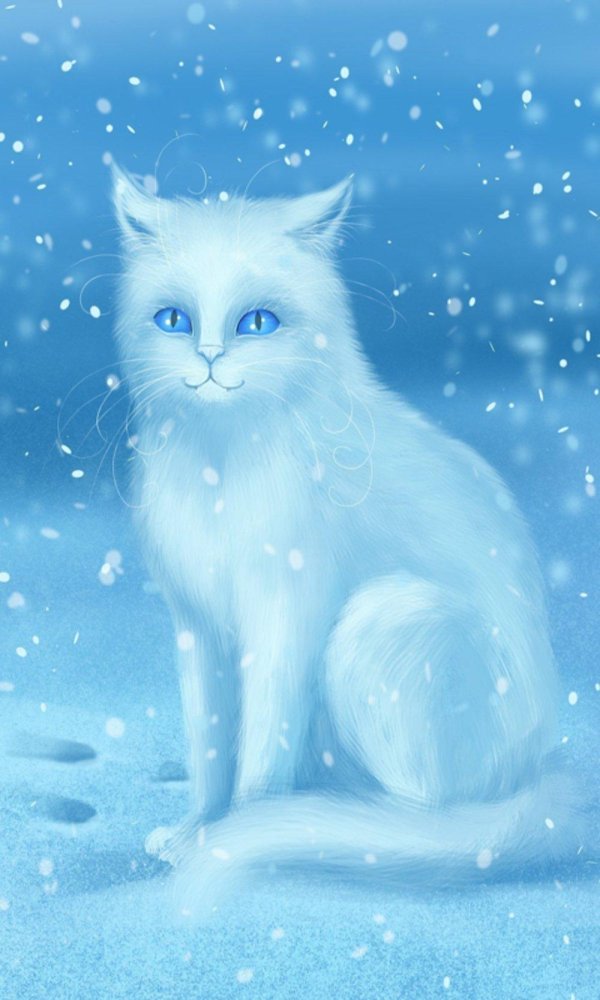 Зима с кошками