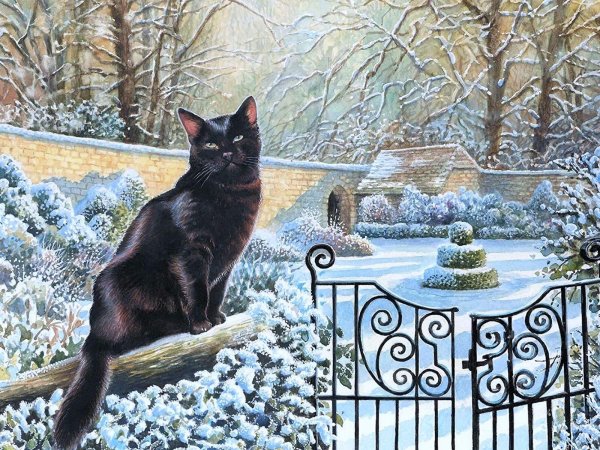 Зима с кошками